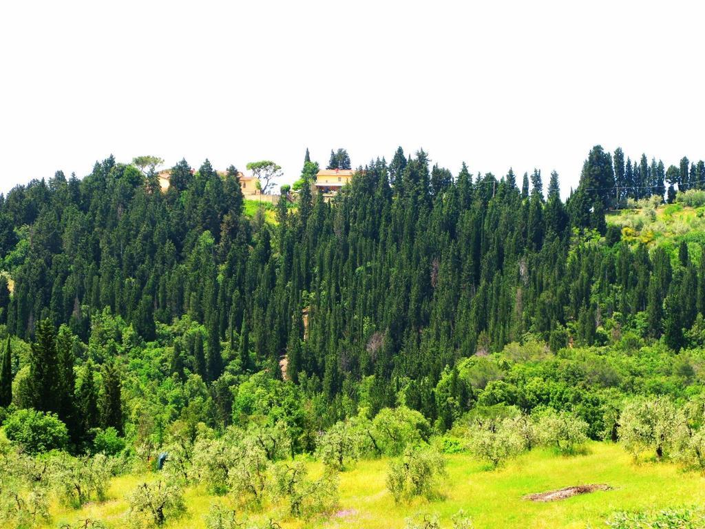 Agriturismo Martignana Alta Empoli Exterior photo